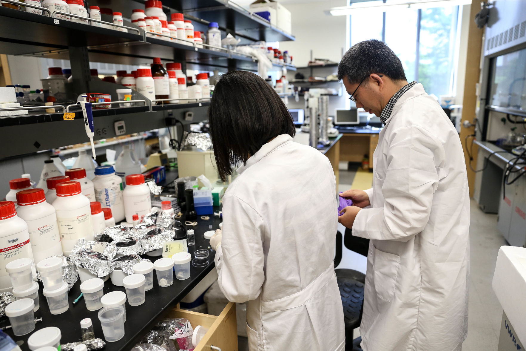 Research and growth